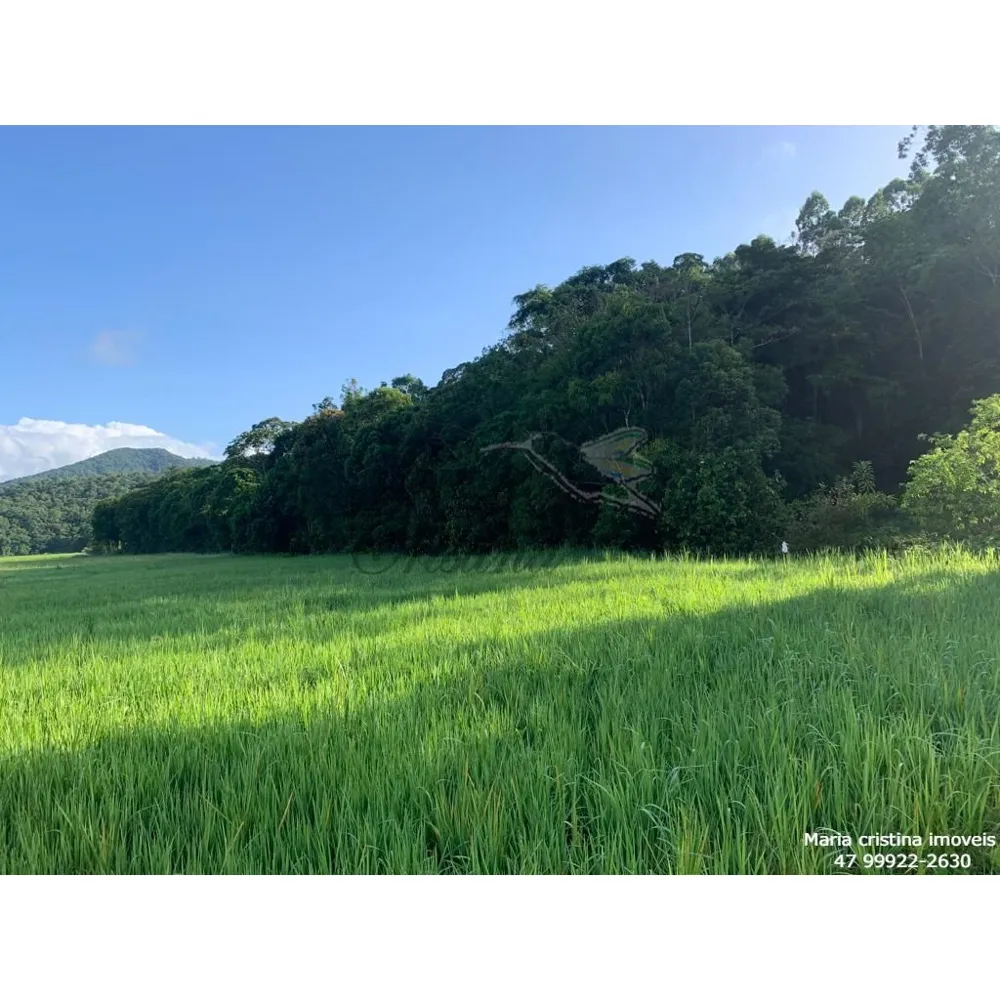 vendo terreno área rural de Camboriú 