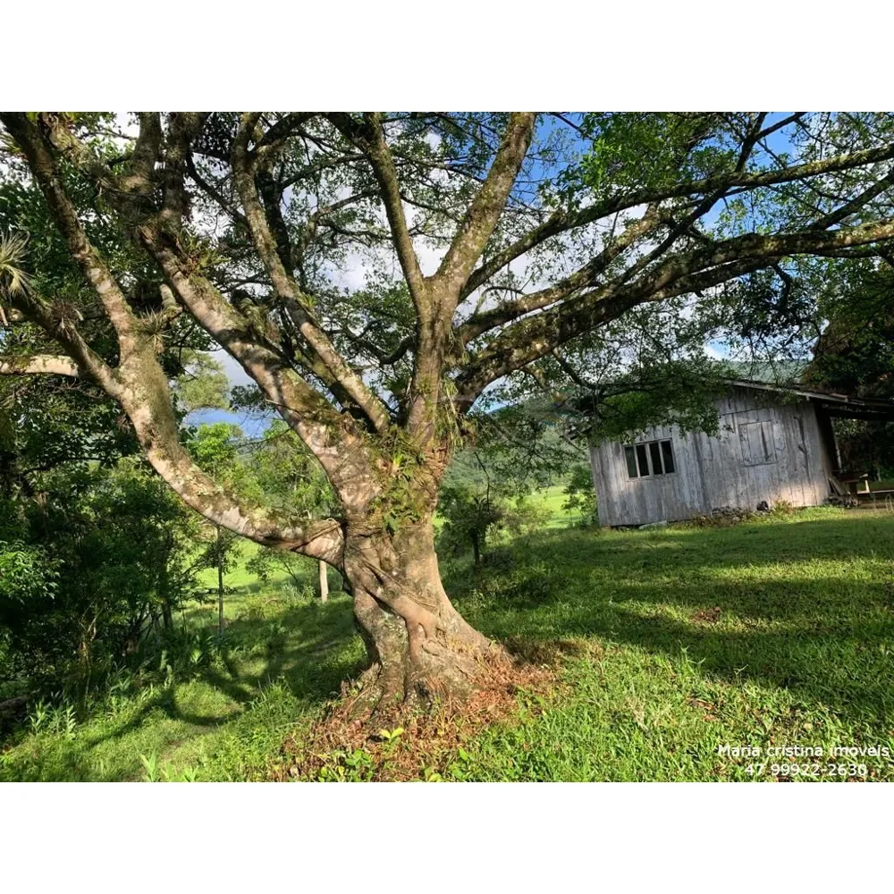 vendo terreno área rural de Camboriú 
