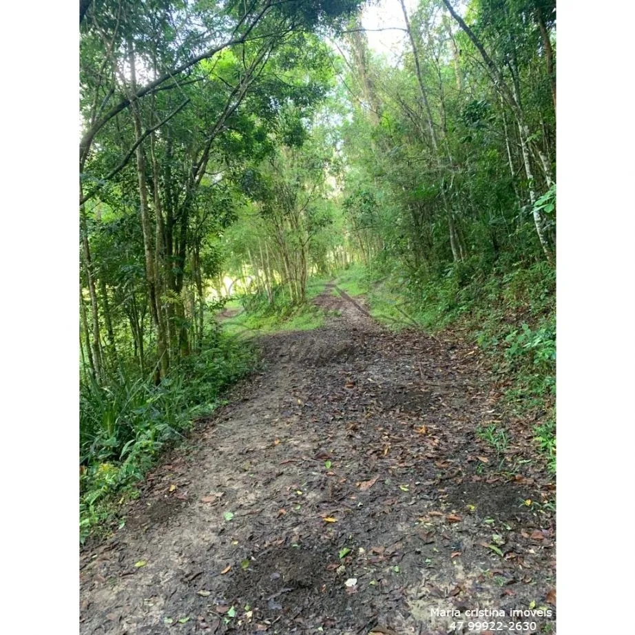 vendo terreno área rural de Camboriú 