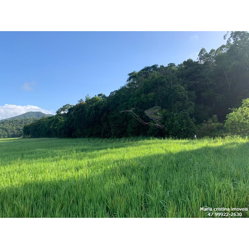 vendo terreno área rural de Camboriú 