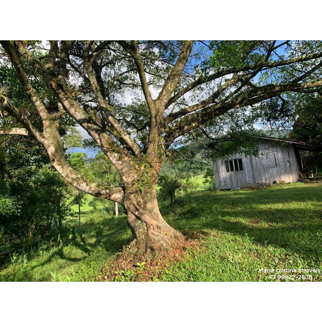 vendo terreno área rural de Camboriú 