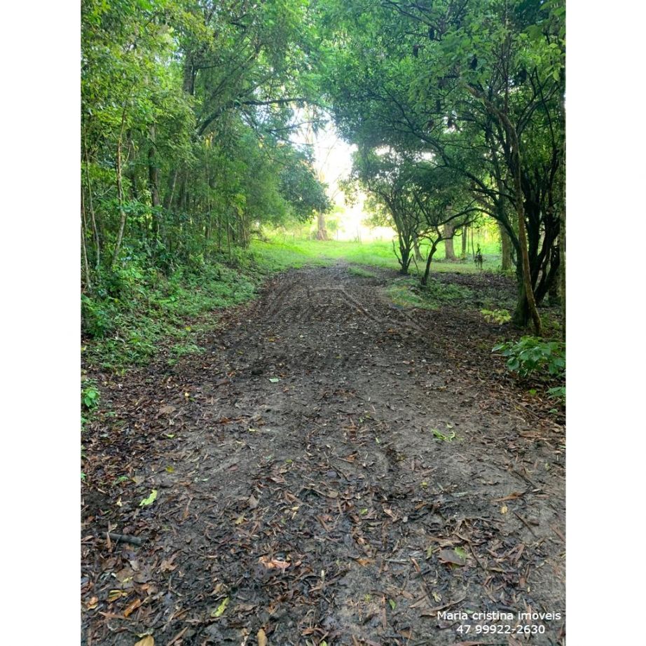 vendo terreno área rural de Camboriú 