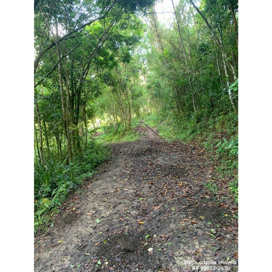 vendo terreno área rural de Camboriú 